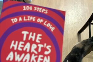 Livros e gatos - Wildmind