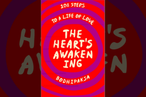 Dia de publicação! O Despertar do Coração