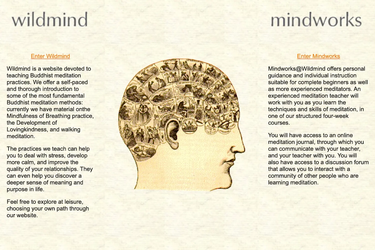 Vinte e cinco anos de Wildmind - Wildmind