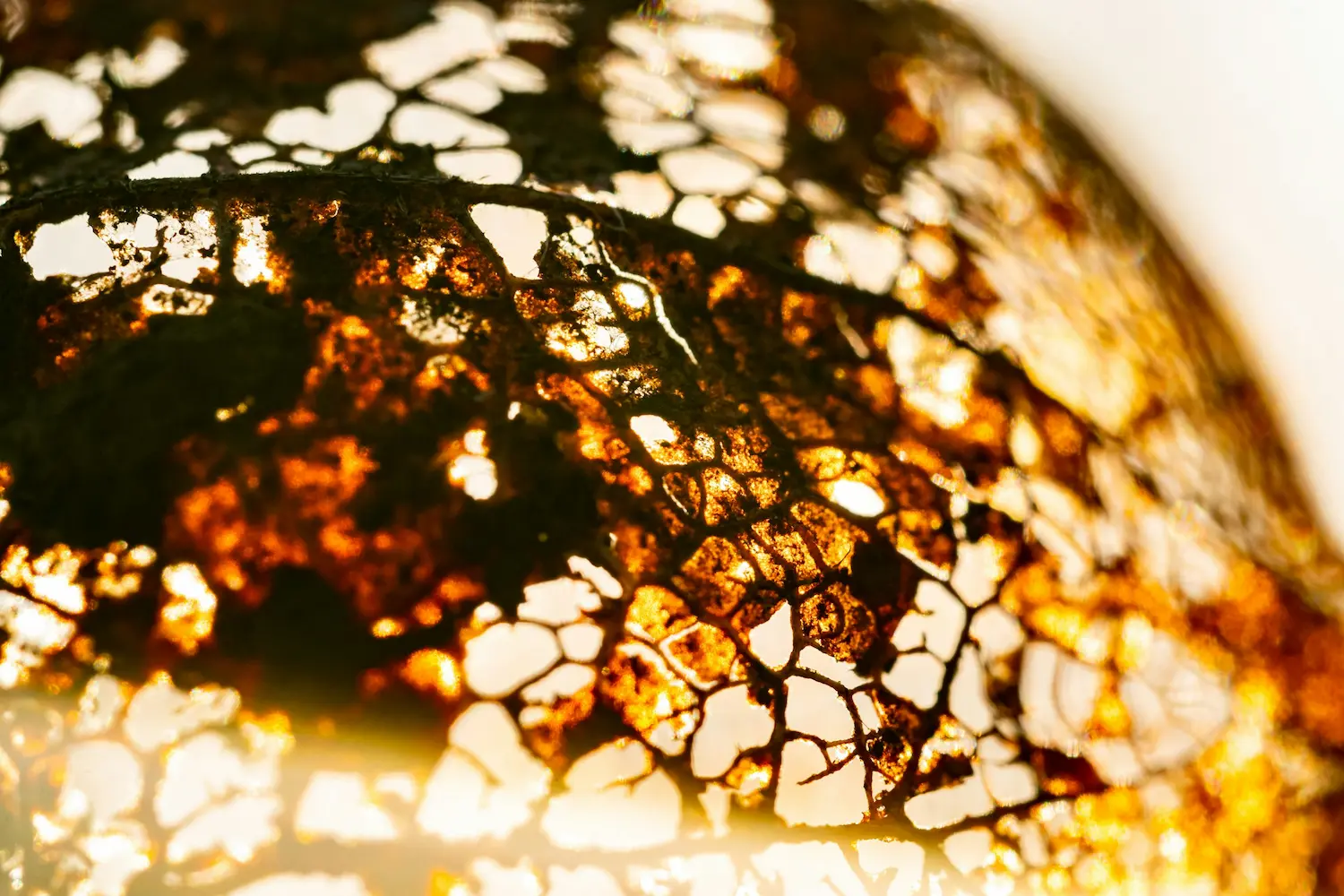 Junte-se a mim em "À medida que o mundo desmorona"